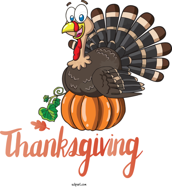 Free Holidays Thanksgiving Turkey Meat Cartoon For Thanksgiving Clipart Transparent Background