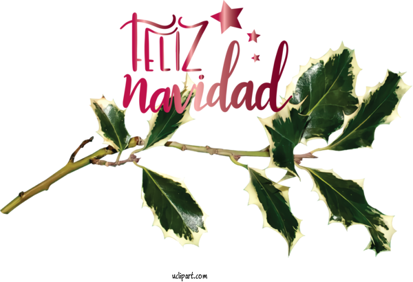 Free Holidays Leaf Poinsettia Twig For Christmas Clipart Transparent Background