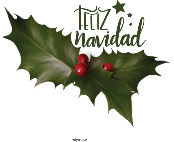Free Holidays Common Holly Japanese Holly American Holly For Christmas Clipart Transparent Background