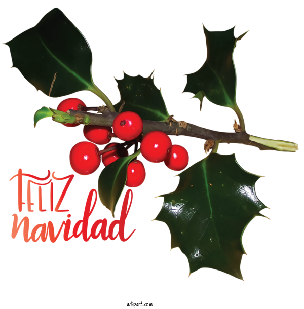 Free Holidays Leaf Common Holly Japanese Holly For Christmas Clipart Transparent Background