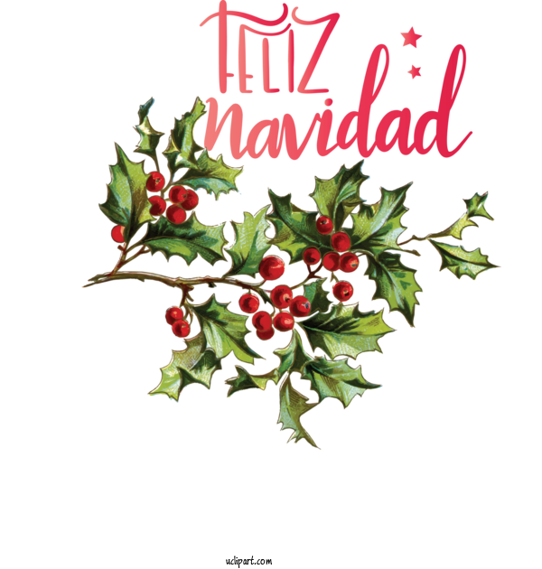 Free Holidays Floral Design  Holly For Christmas Clipart Transparent Background
