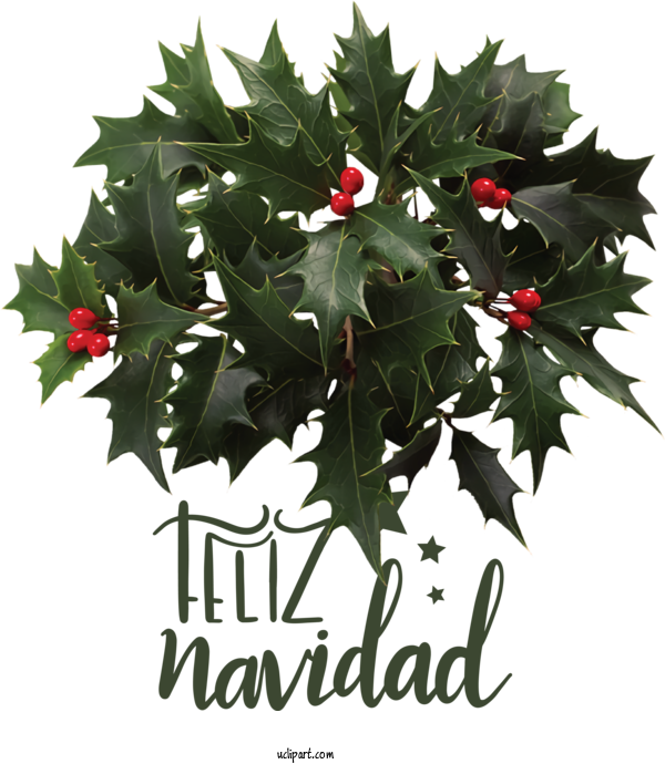 Free Holidays Common Holly Christmas Day Mistletoe For Christmas Clipart Transparent Background