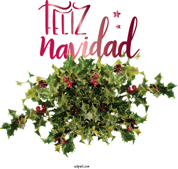 Free Holidays Floral Design Holly Leaf For Christmas Clipart Transparent Background