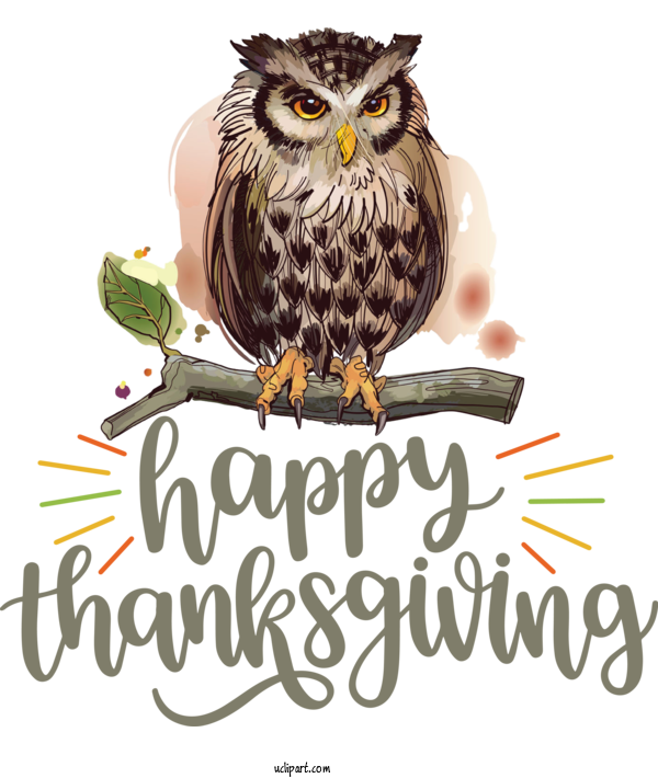 Free Holidays Birds Beak Bird Of Prey For Thanksgiving Clipart Transparent Background
