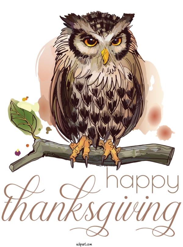Free Holidays Drawing Owls Cartoon For Thanksgiving Clipart Transparent Background