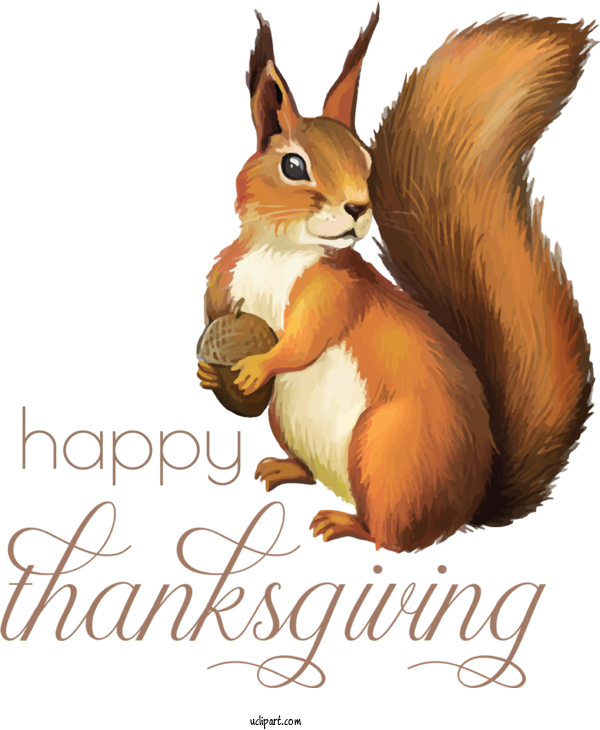 Free Holidays Squirrels Chipmunks Tree Squirrel For Thanksgiving Clipart Transparent Background