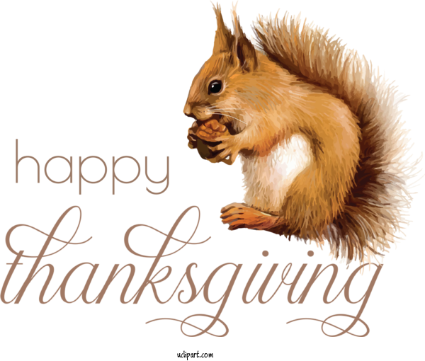 Free Holidays Chipmunks Squirrels 02021 For Thanksgiving Clipart Transparent Background