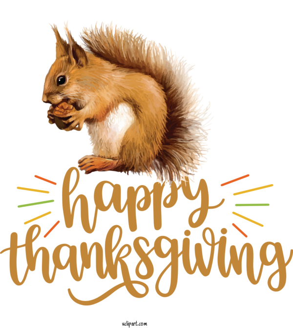 Free Holidays Chipmunks Squirrels 02021 For Thanksgiving Clipart Transparent Background