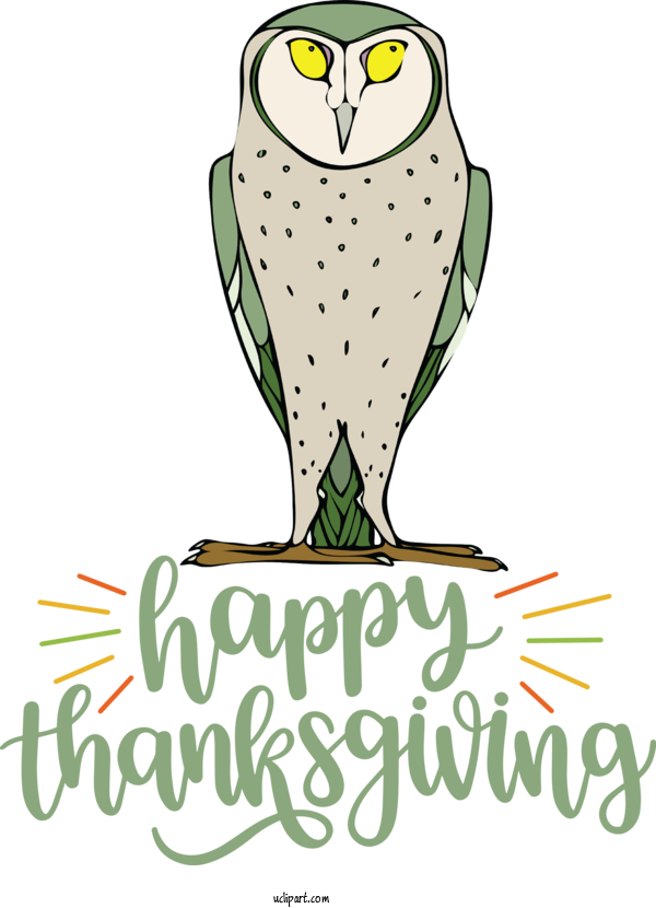 Free Holidays Birds Beak Bird Of Prey For Thanksgiving Clipart Transparent Background