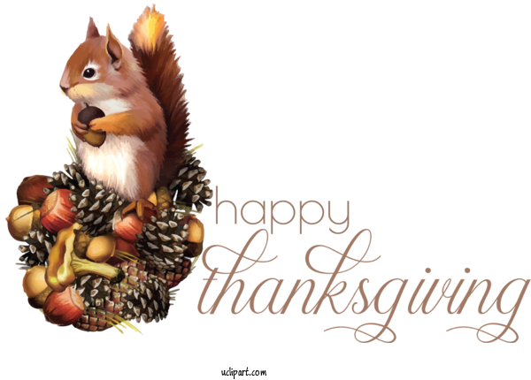 Free Holidays Squirrels Chipmunks Eastern Gray Squirrel For Thanksgiving Clipart Transparent Background