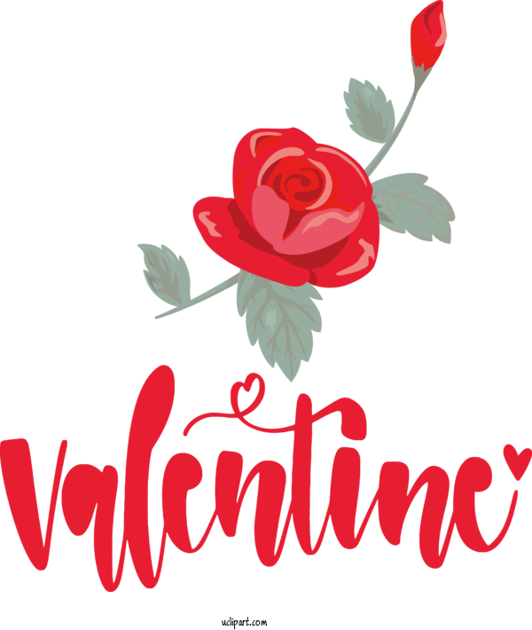 Free Holidays Floral Design Rose Flower For Valentines Day Clipart Transparent Background
