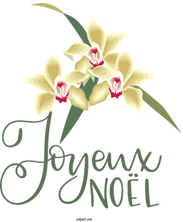 Free Holidays Flower  Royalty Free For Christmas Clipart Transparent Background