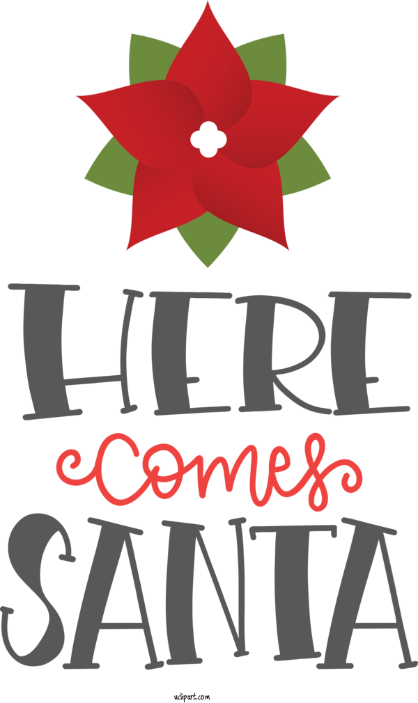 Free Cartoon Flower Logo Design For Santa Clipart Transparent Background