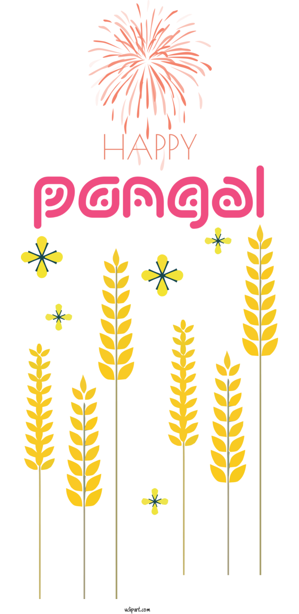 Free Holidays Festival Fireworks Yellow For Pongal Clipart Transparent Background