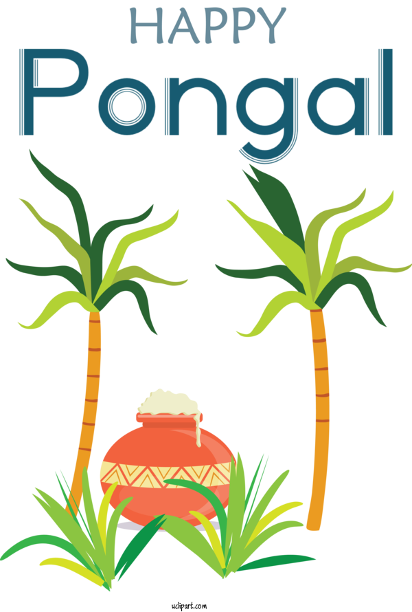 Free Holidays Palm Trees Plant Stem Leaf For Pongal Clipart Transparent Background