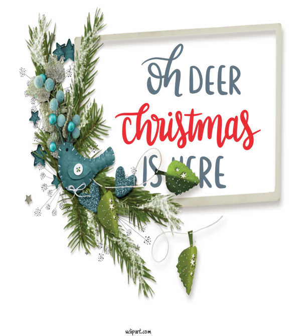 Free Holidays Fir Floral Design Christmas Ornament M For Christmas Clipart Transparent Background
