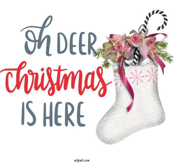 Free Holidays Cut Flowers Floral Design Shoe For Christmas Clipart Transparent Background