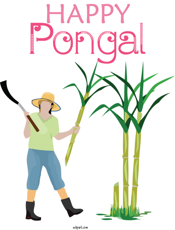 Free Holidays Sugarcane Juice Sugarcane Cartoon For Pongal Clipart Transparent Background