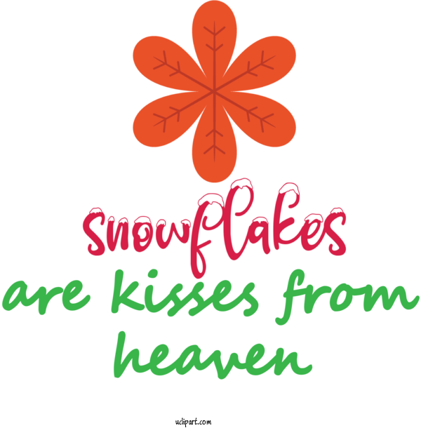 Free Weather Cut Flowers Floral Design Petal For Snowflake Clipart Transparent Background