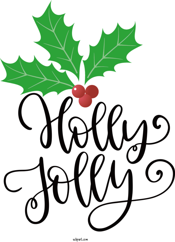 Free Holidays Holly Leaf Plant Stem For Christmas Clipart Transparent Background
