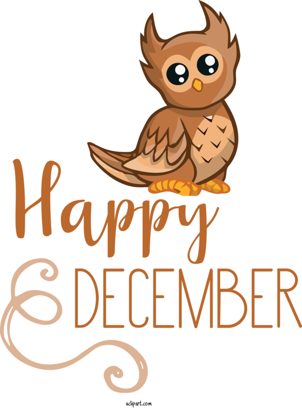 Free Nature Cat Birds Owl M For Winter Clipart Transparent Background