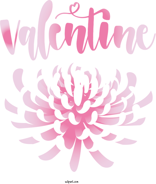 Free Holidays Chrysanthemum Petal Flower For Valentines Day Clipart Transparent Background