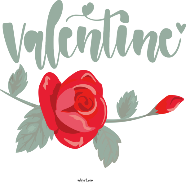 Free Holidays Floral Design Rose Flower For Valentines Day Clipart Transparent Background