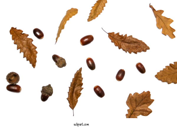 Free Nature Autumn Stock.xchng Leaf For Leaf Clipart Transparent Background