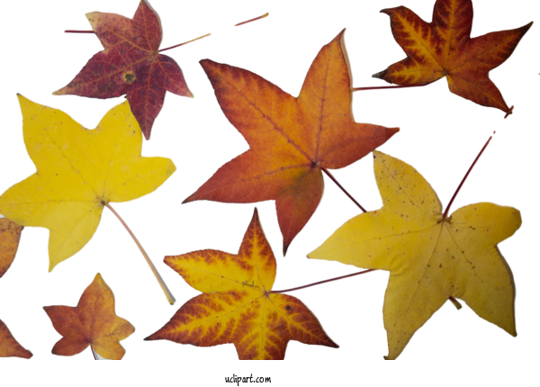 Free Nature Leaf Autumn Leaves Leaf Pictures For Leaf Clipart Transparent Background