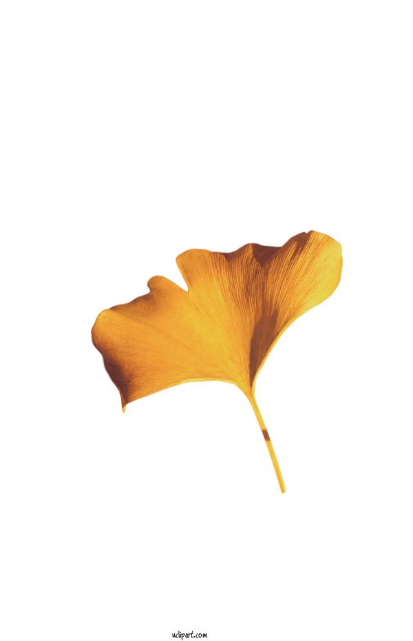 Free Flower Clipart Leaf Petal Yellow For Flowers Clipart Transparent Background