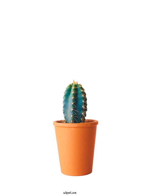 Free Nature Hay Flowerpot With Saucer Plants Citroën Cactus M For Leaf Clipart Transparent Background