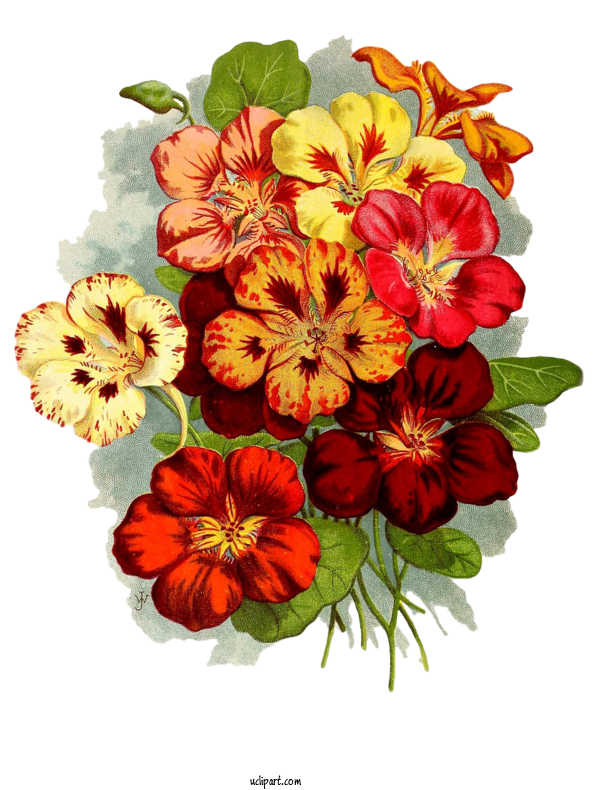 Free Flowers Floristry Flower Bouquet Floral Design For Flower Clipart Clipart Transparent Background