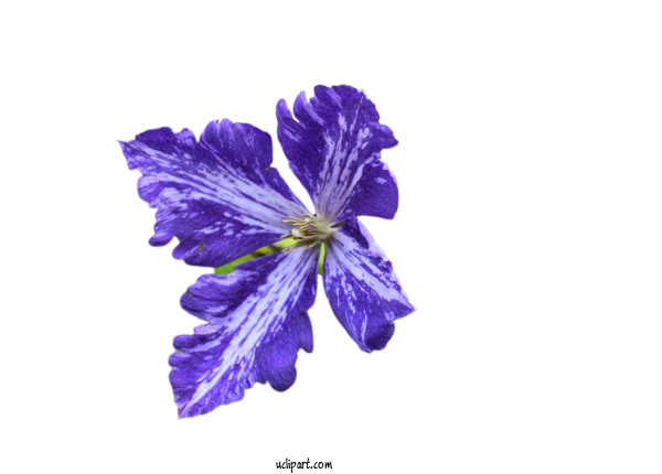 Free Flowers Flower Petal Lilac M For Flower Clipart Clipart Transparent Background
