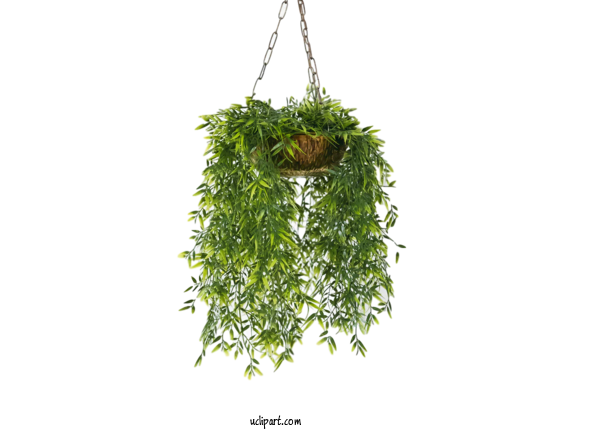 Free Nature Flowerpot Hanging Basket Houseplant For Leaf Clipart Transparent Background