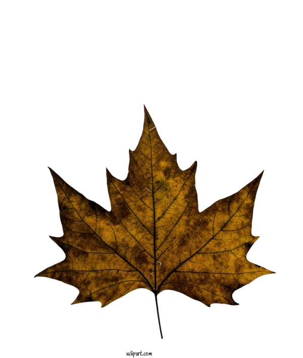 Free Nature Amazon.com  Color For Leaf Clipart Transparent Background