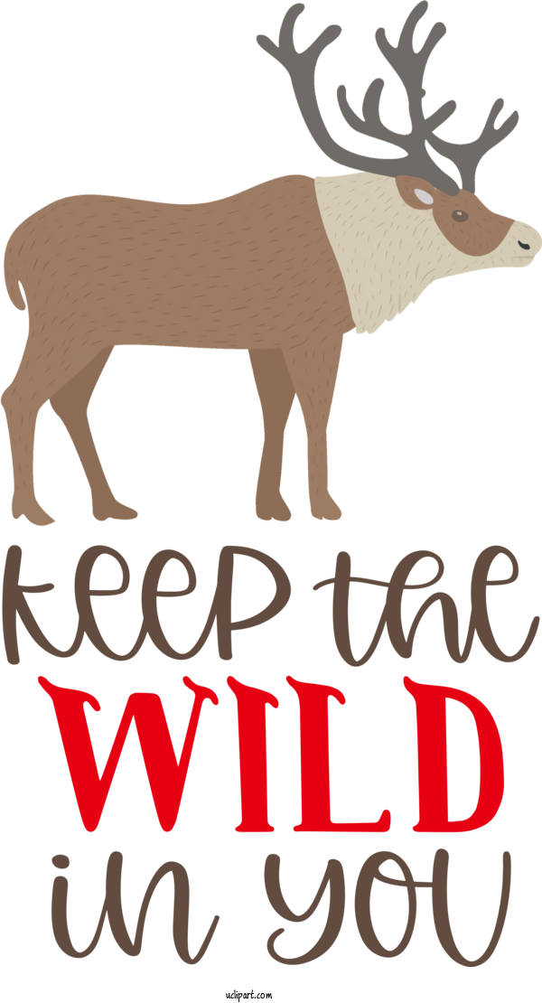 Free Animals Reindeer Deer Elk For Deer Clipart Transparent Background