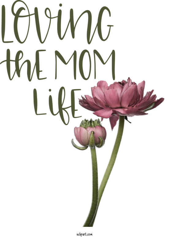Free Holidays Plant Stem Floral Design Cut Flowers For Mothers Day Clipart Transparent Background