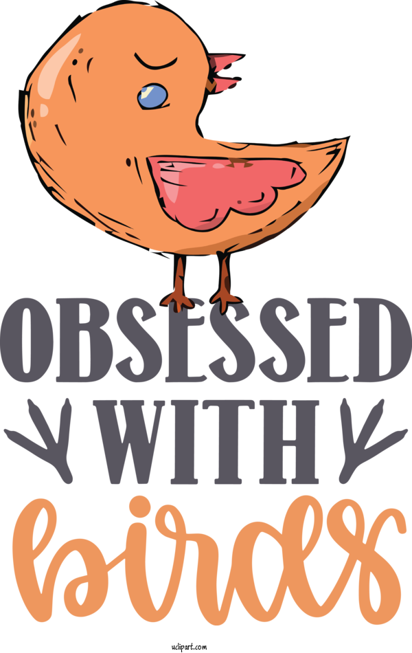 Free Animals	 Cartoon Logo Line For Bird Clipart Transparent Background