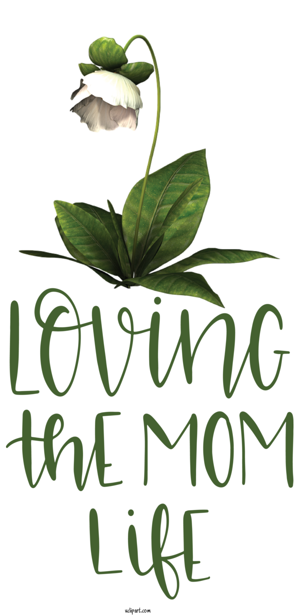Free Holidays Leaf Herbal Medicine Meter For Mothers Day Clipart Transparent Background