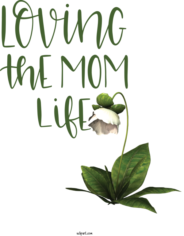 Free Holidays Herbal Medicine Plant Stem Leaf For Mothers Day Clipart Transparent Background
