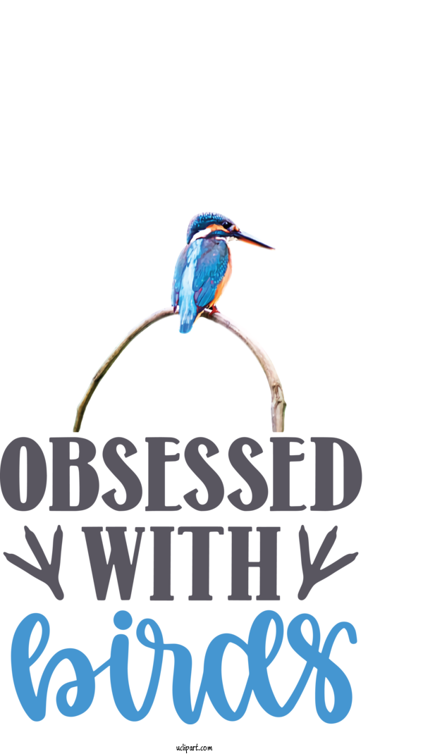 Free Animals	 Birds Logo Font For Bird Clipart Transparent Background