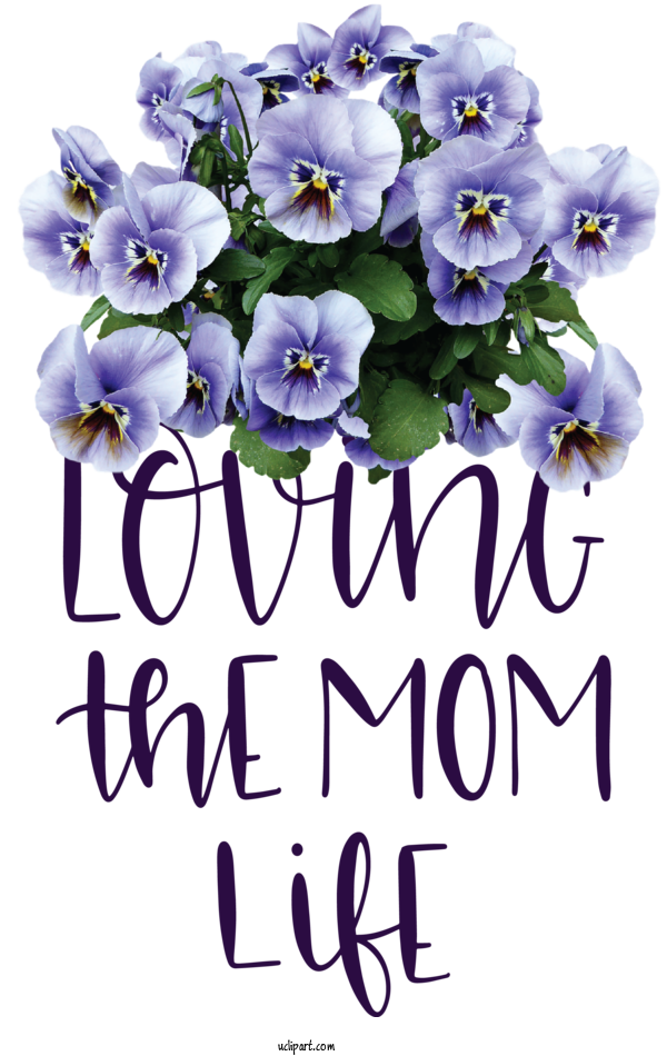 Free Holidays Pansy Violet Daffodil For Mothers Day Clipart Transparent Background