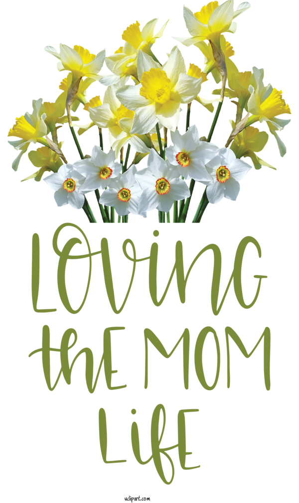 Free Holidays Wild Daffodil Plant Stem Flower For Mothers Day Clipart Transparent Background