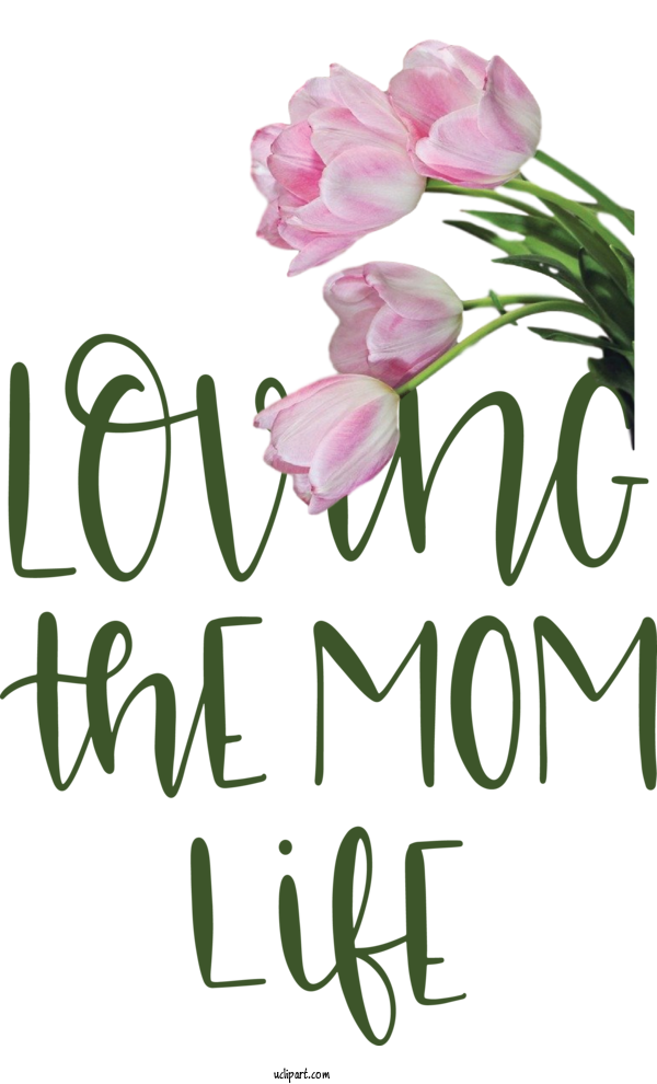 Free Holidays Floral Design Plant Stem Rose Family For Mothers Day Clipart Transparent Background