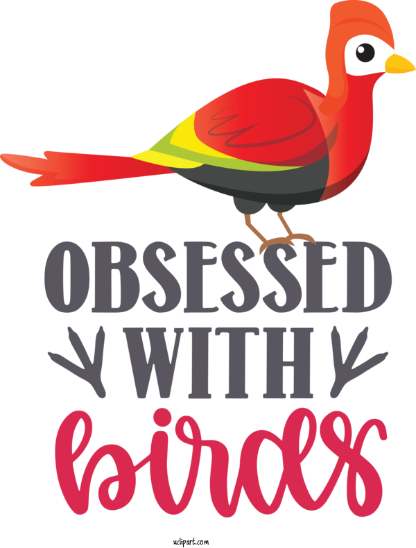 Free Animals	 Birds Logo Beak For Bird Clipart Transparent Background