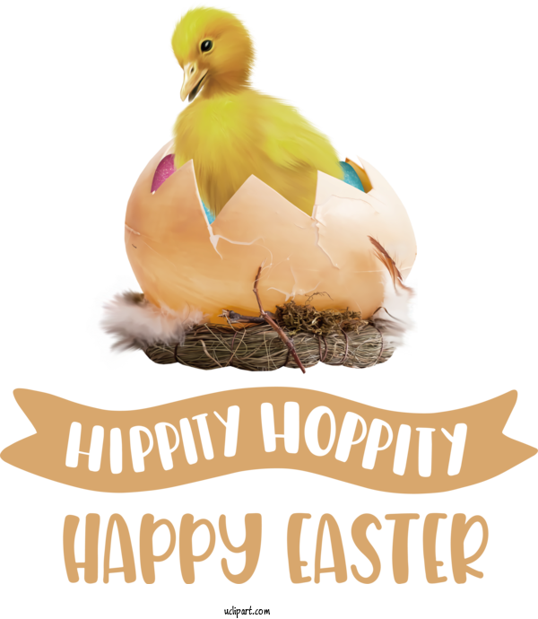 Free Holidays Birds Duck Beak For Easter Clipart Transparent Background
