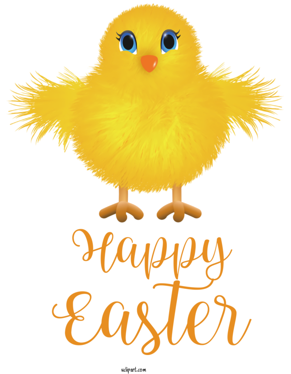 Free Holidays Landfowl Chicken Yellow For Easter Clipart Transparent Background