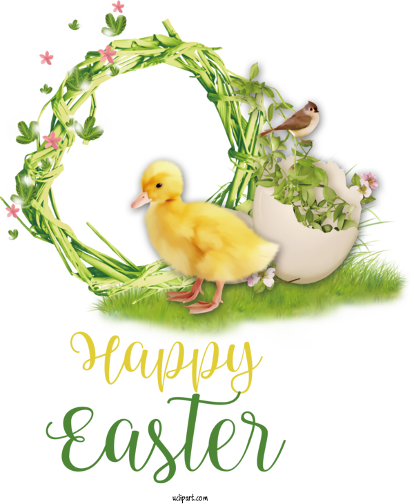 Free Holidays Duck Chicken Birds For Easter Clipart Transparent Background