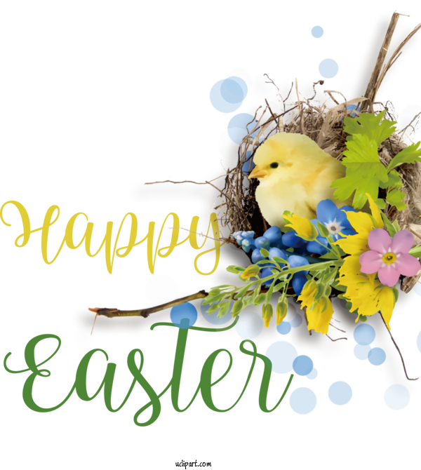 Free Holidays Birds Nest Cartoon For Easter Clipart Transparent Background