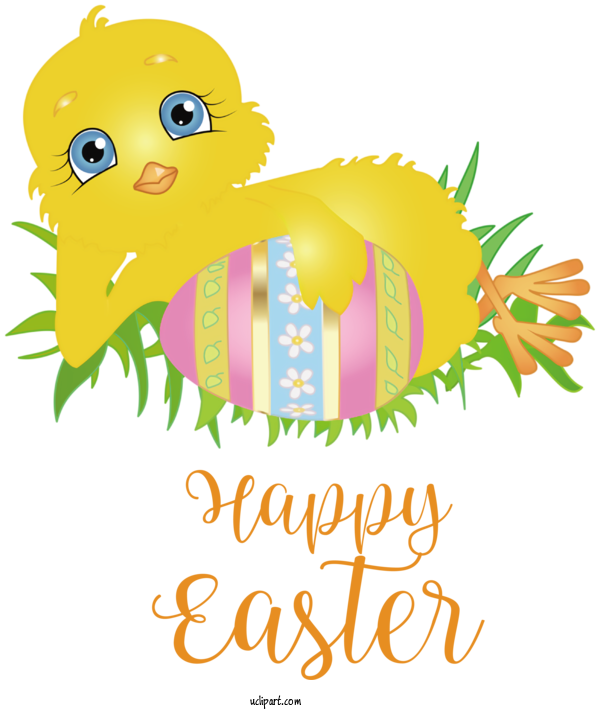 Free Holidays Chicken Cartoon Drawing For Easter Clipart Transparent Background